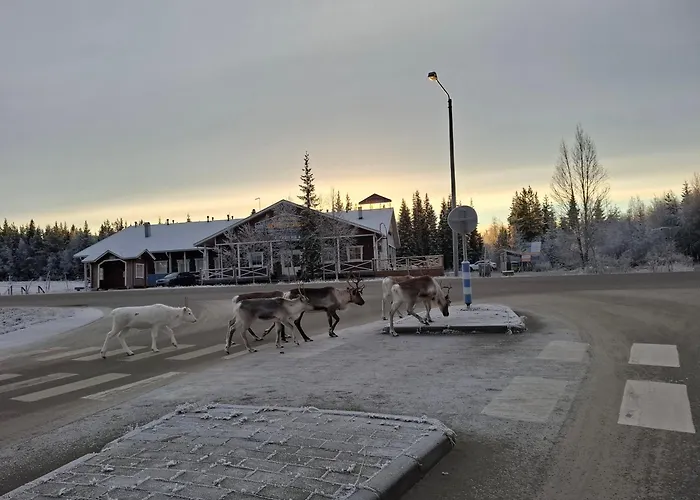 Honkapirtti Yllaes, 아파트 Äkäslompolo